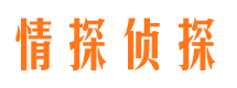 台前市出轨取证